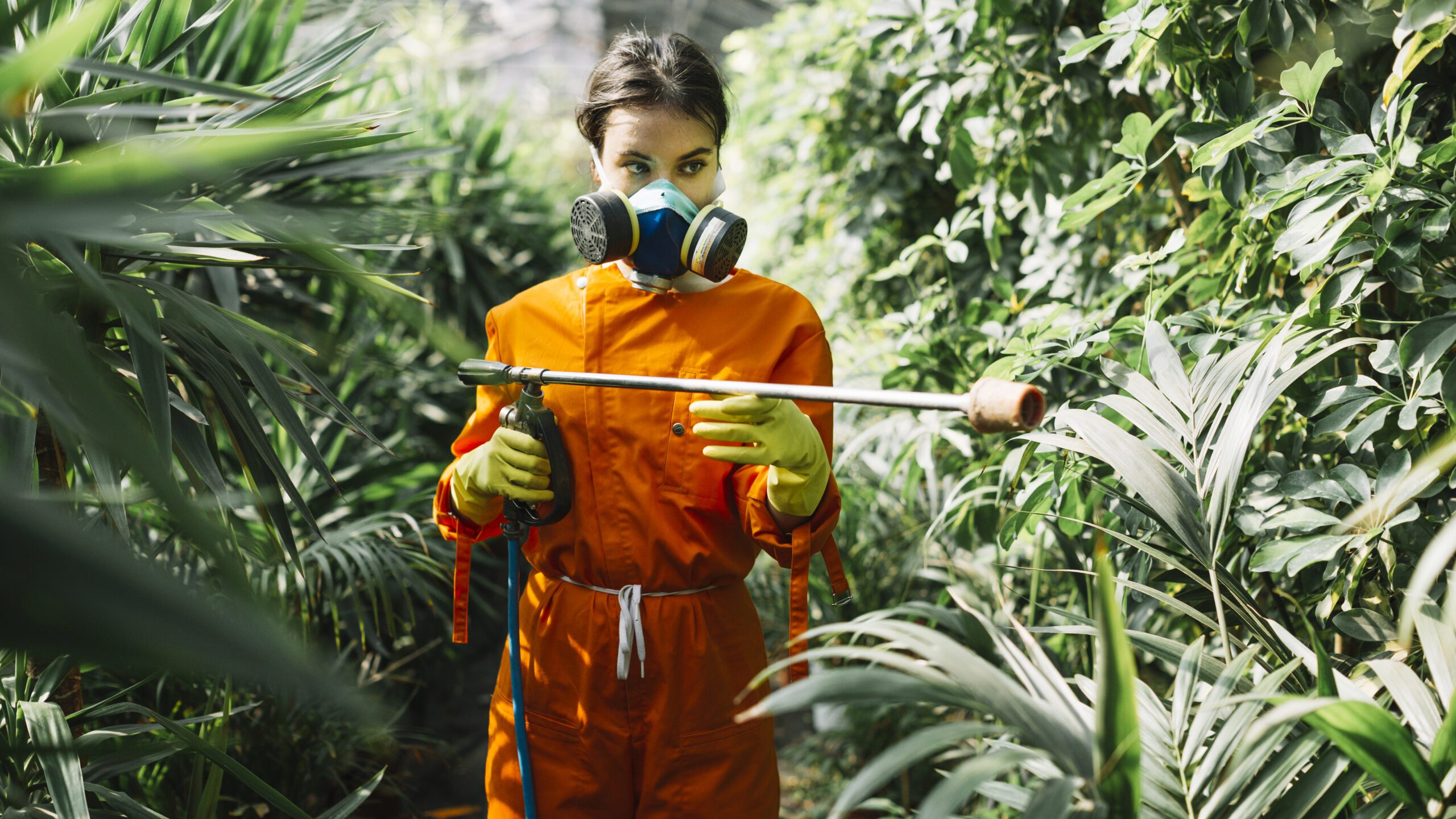 Does Salt Kill Weeds: A Comprehensive Guide for Gardening Enthusiasts