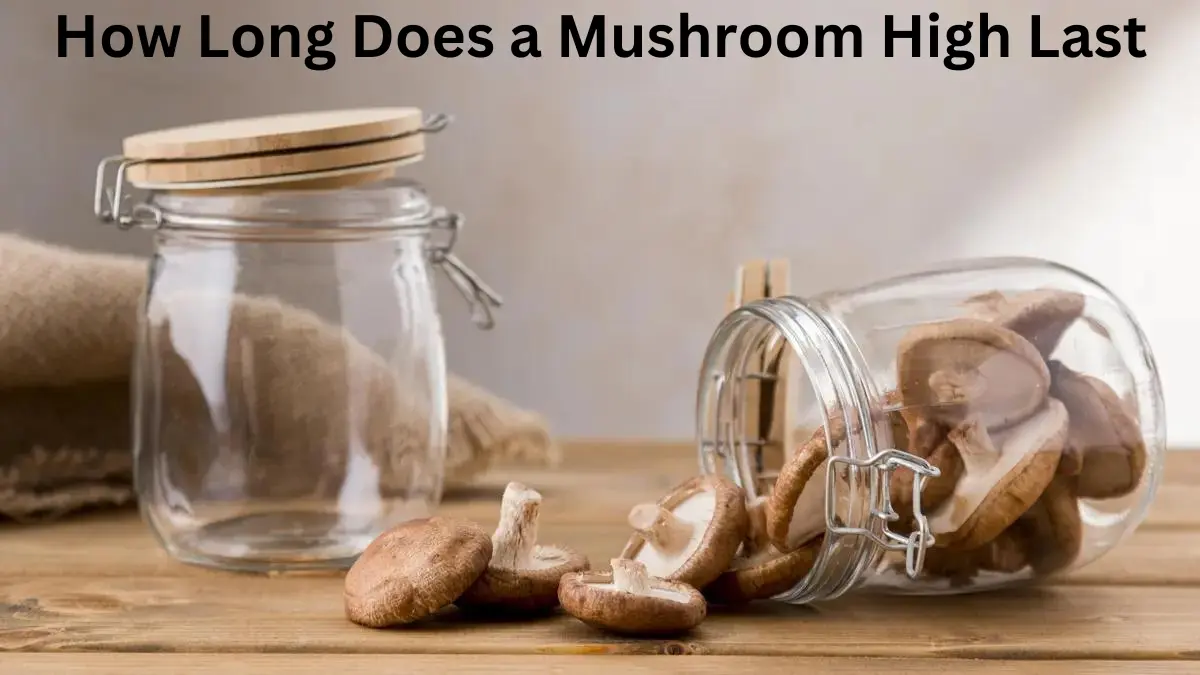 How Long Does a Mushroom High Last: Exploring the Duration of Psilocybin Effects